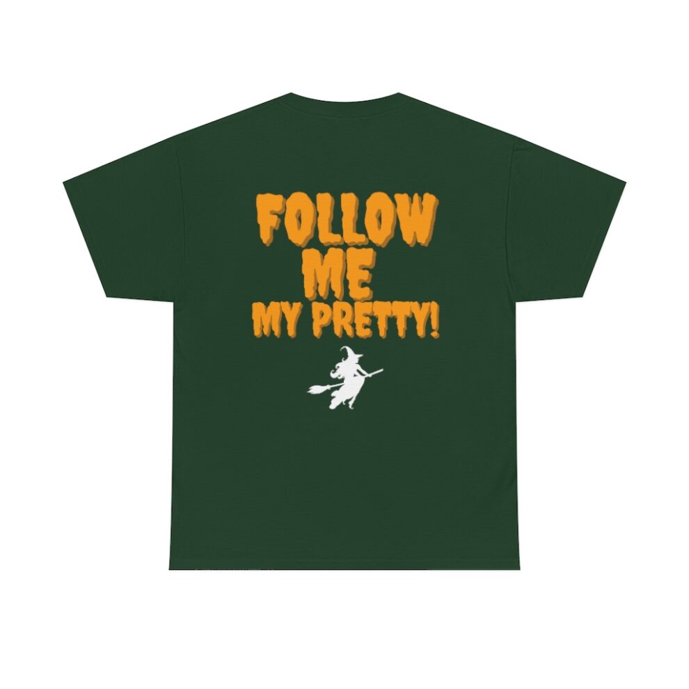 A green t-shirt with the words " follow me my pretty !"