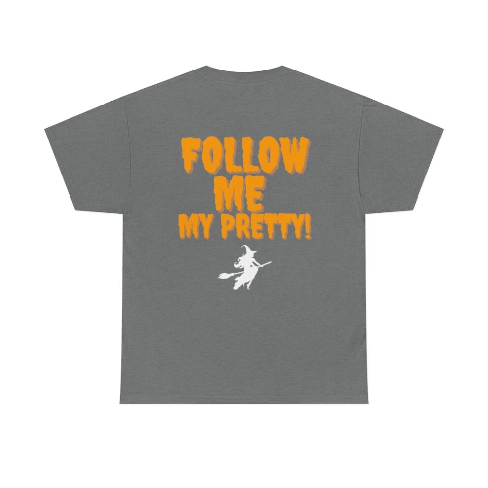 A gray t-shirt with the words " follow me my pretty !"