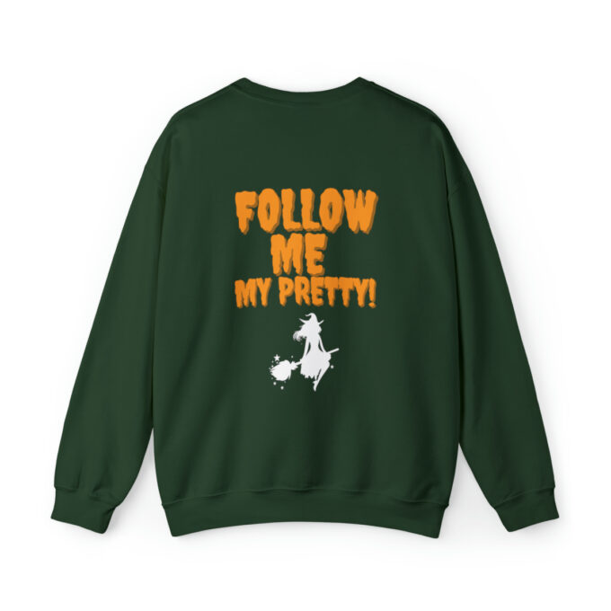A green sweatshirt with the words " follow me my pretty !" on it.
